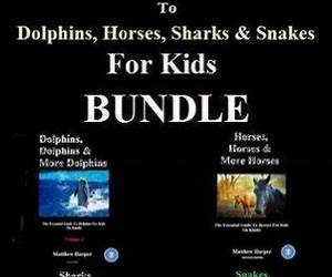 The Essential Interactive Guide To Dolphins, Horses \u0026 Sharks For Kids Bundle