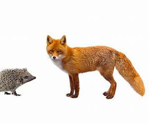 The Fox and the Hedgehog: A Novel of Wolfe and Montcalm at Quebec